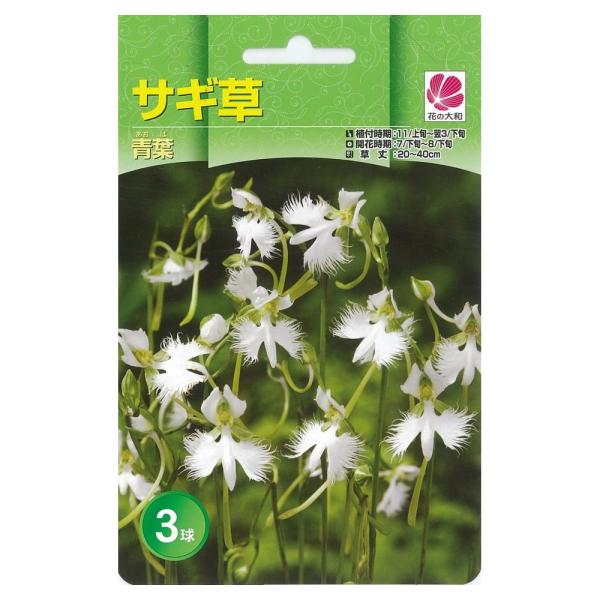 [Release date: February 11, 2026]●品種の特徴「青葉」は数多く存在するサギソウの園芸品種の元となった原種とされています。花は白色。葉は濃い緑色です。「サギソウ」は日本各地に分布する球根性のランで、日当たりの良...
