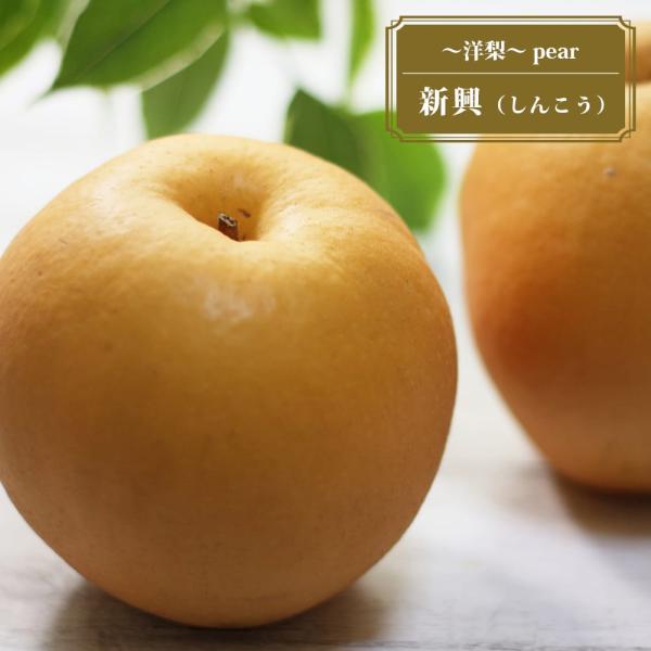●品種の特徴「新興（しんこう）」は。「二十世紀」と「天の川」の自然交雑実生とされる赤梨です。果重は400〜600gくらいになる大玉で、10月頃が収穫最盛期。秋から冬にかけて楽しめます。貯蔵性も良く、新潟県など涼しい地域では年明けでも店頭に並...