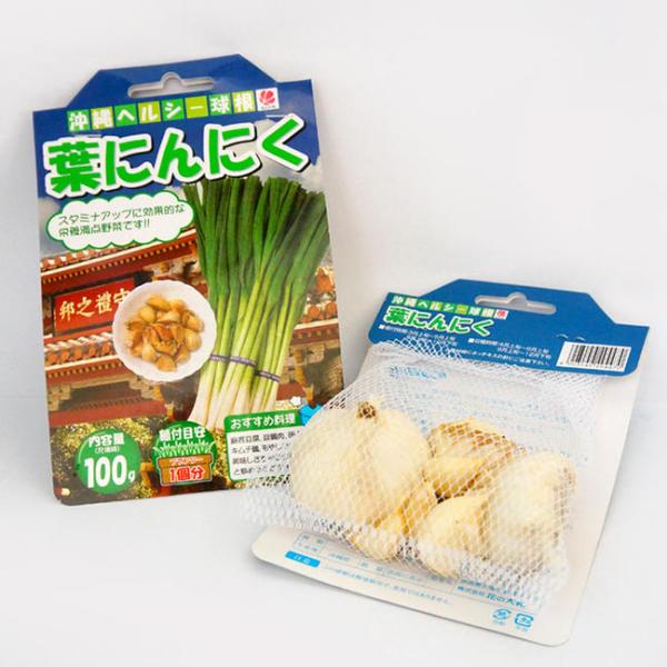 hanahirobaonline_ninniku-ha-001