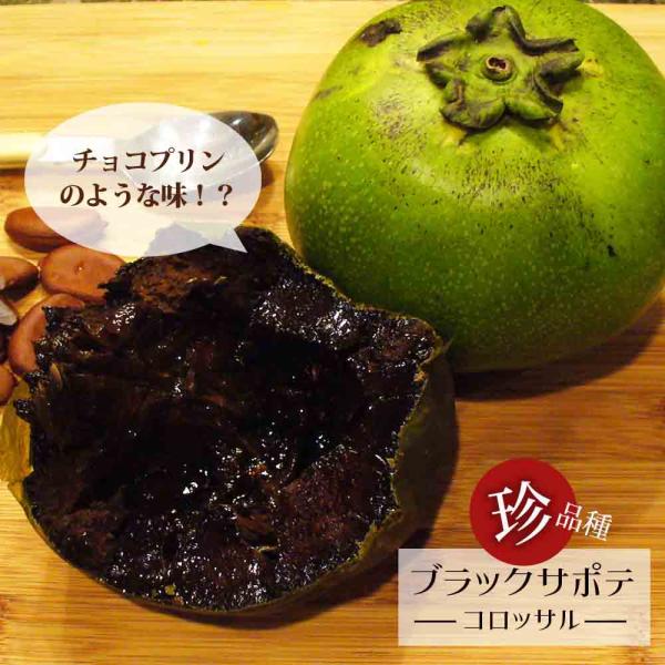 hanahirobaonline_niwaki-