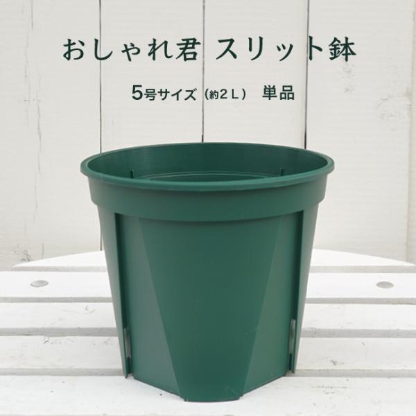 スリット鉢おしゃれ君スリット 鉢 5号 スリット 鉢 ロング Oshare 5 Suri 苗木部 花ひろばオンライン 通販 Yahoo ショッピング