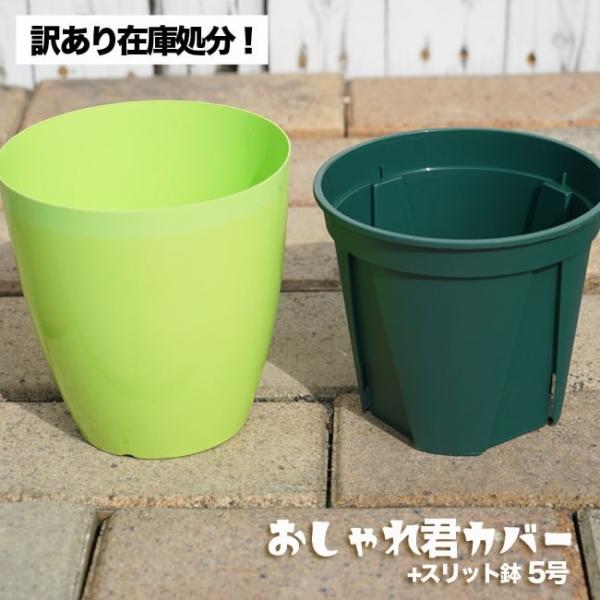 スリット鉢 鉢カバーセット おしゃれ君スリット 鉢 5号 スリット 鉢 ロング