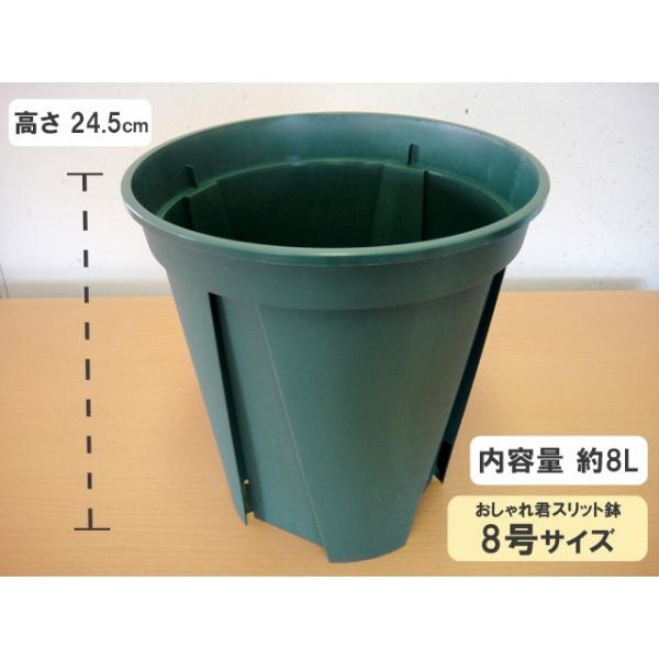 スリット鉢 おしゃれ君スリット 鉢 8号 スリット 鉢 ロング Buyee Buyee 日本の通販商品 オークションの代理入札 代理購入