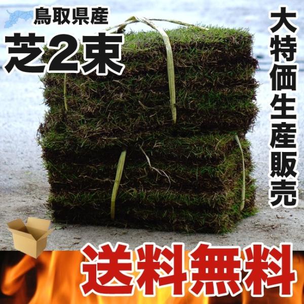 芝生 姫高麗芝 ヒメコウライシバ 2束セット 生産販売 Buyee 日本代购平台 产品购物网站大全 Buyee一站式代购 Bot Online