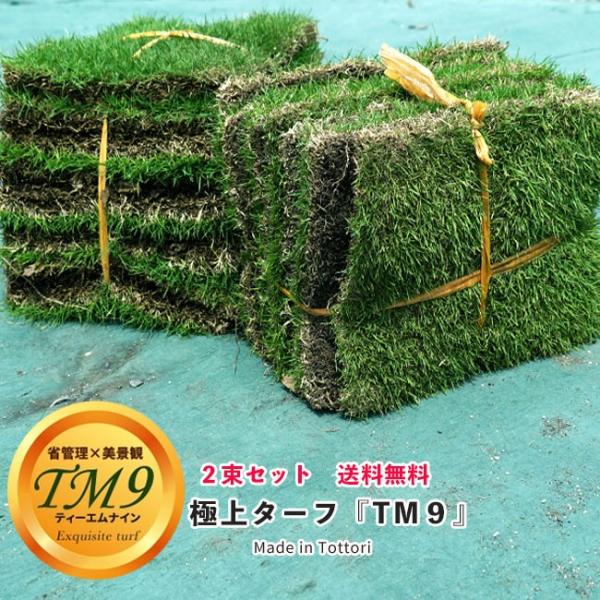 芝生鳥取県産高麗芝tm9 ティーエムナイン 2束セット日時指定不可 Buyee 日本代购平台 产品购物网站大全 Buyee一站式代购bot Online