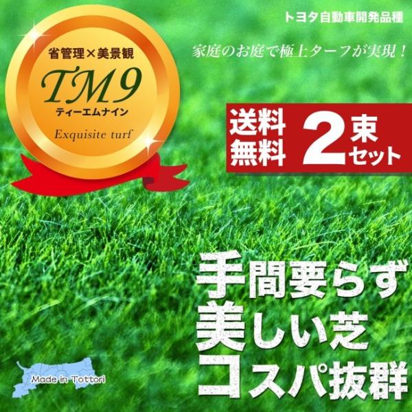 芝生 鳥取県産 高麗芝 TM9 （ティーエムナイン） 2束セット 【日時指定 