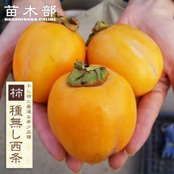 hanahirobaonline_sibugaki-