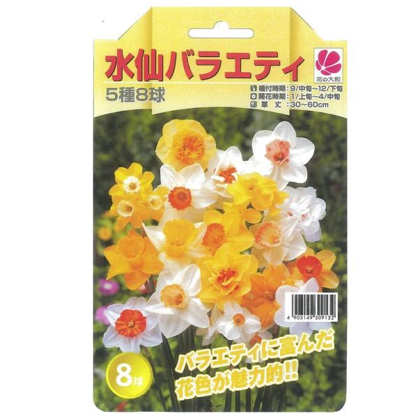 水仙 球根 バラエティー 混合 5種 8球入 （植え付け時期9月中旬〜12月