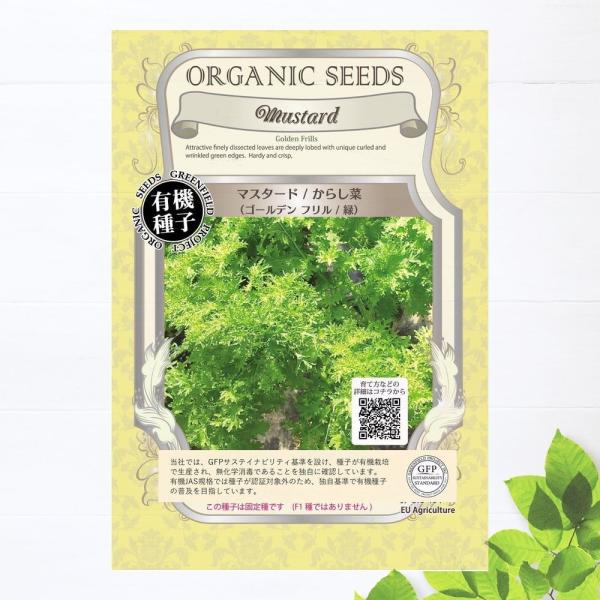 有機種子 マスタード (からし菜 ゴールデンフリル 緑) Sサイズ 0.8g