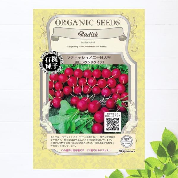 hanahirobaonline_tane-radish-