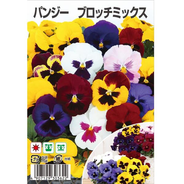 パンジー ブロッチミックス 約35粒 （種蒔時期 7月〜10月上旬）