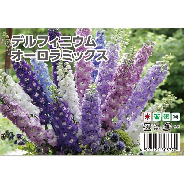 hanahirobaonline_tanetaka-0054