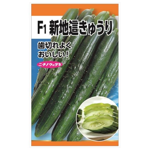 きゅうり F1新地這きゅうり 種・小袋 （3ml） 爆買いweek : 苗木部 花