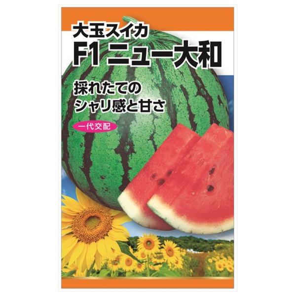 [Release date: February 7, 2026]●品種の特徴「ニュー大和」は、大玉の縞スイカで一個当たり5〜6kgになり、果肉は鮮紅色で甘みが良く肉質がいいです。丈夫でつくりやすいので、家庭菜園にもおすすめの品種です。学名：...