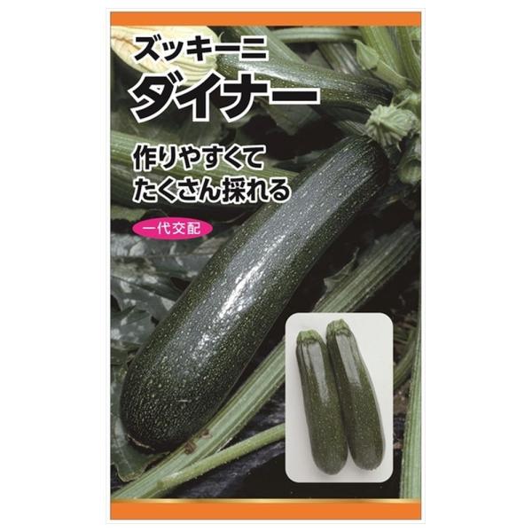 【パセリとズッキーニ専用ページ】 hanahirobaonline_tanex-0038
