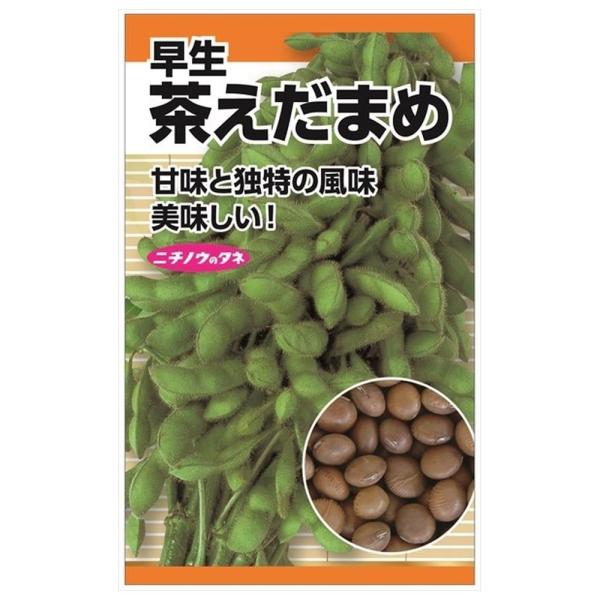 枝豆 茶えだまめ(早生) 種・小袋 （20ｍｌ） 固定種