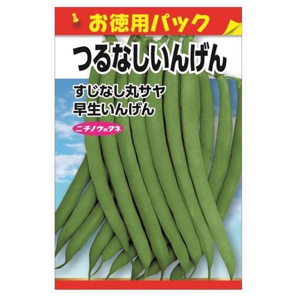 hanahirobaonline_tanex-0100