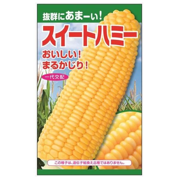 [Release date: January 17, 2026]●品種の特徴「スイートハミー」は糖度が14度にもなる甘ーいトウモロコシです。粒の皮が薄く甘いので、生でもおいしいトウモロコシ。畑で採れたてのトウモロコシを食べて見ませんか？とう...