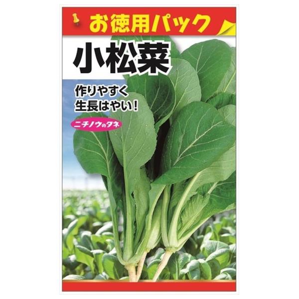 hanahirobaonline_tanex-0166