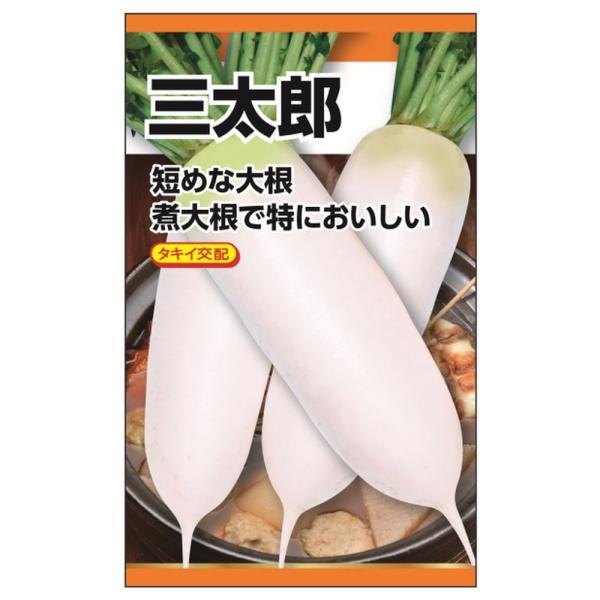 hanahirobaonline_tanex-0200