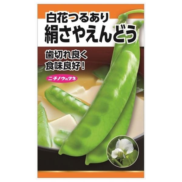 hanahirobaonline_tanex-0232