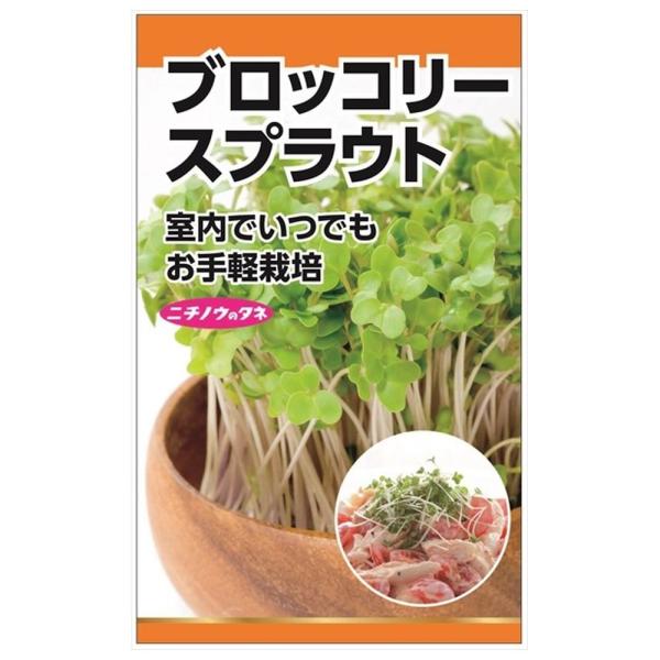 ブロッコリースプラウト 種・小袋 （10ml） 固定種 爆買いweek : 苗木 