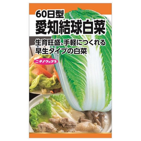 hanahirobaonline_tanex-0288