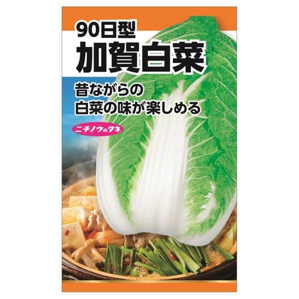 白菜 加賀白菜(90日型) 種・小袋 （5ml） 固定種