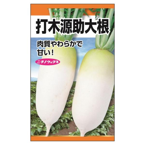 大根 打木源助大根 種・小袋 （10ml） 固定種