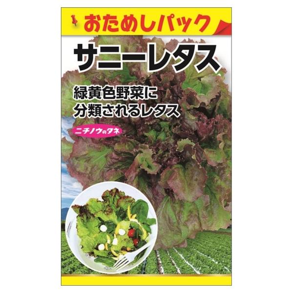 ●品種の特徴「サニーレタス」は、赤味がかった葉を持つリーフレタスの日本における総称です。当初日本では赤いレタスは人気がありませんでしたが、西洋文化が浸透するにつれて一般的なレタスとなりました。レタスでありながら分類は緑黄色野菜に分けられます...
