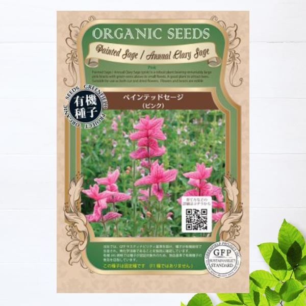 ●品種の特徴「ペインテッドセージピンク」は、ピンク色の苞葉と花が美しくエディブルフラワーとしても楽しめます。切り花やドライフラワーとしても人気です。「サルビア」というと真っ赤な花をイメージする人も多いのではないでしょうか？サルビアには900...