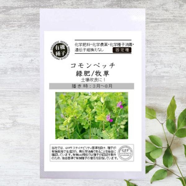 ●品種の特徴「コモンベッチ」は別名「オオカラスノエンドウ」。その名の通り、カラスノエンドウによく似たマメ科の植物です。越冬性の牧草で、蔓が1〜3mほどに伸びるものの性質は弱く倒伏後に枯れやすいです。主に緑肥として活用され、窒素固定や土壌改良...