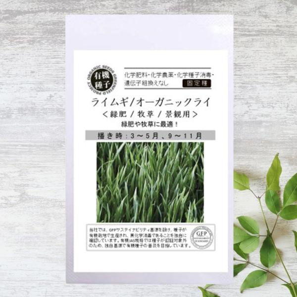 ●品種の特徴「オーガニック　ライ」は、緑肥や牧草として使用できるライ麦です。背丈は20〜40cmと低めでグランドカバーにも最適。耐寒性があるので低温期にも強いです。「ライ麦」は食用や飼料用としてヨーロッパや北アメリカを中心に広く栽培されてい...