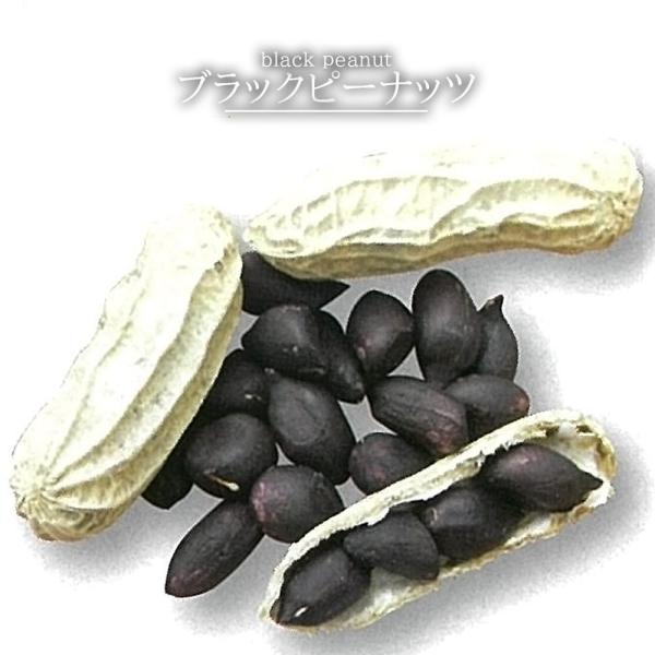 [Release date: April 25, 2026]●品種の特徴「ブラックピーナッツ」は珍しい黒い薄皮を持つ落花生です。黒い薄皮にはポリフェノールたっぷり！食べ方や育て方は普通の落花生と一緒です。大きさは少し小さめですが、たくさん収...