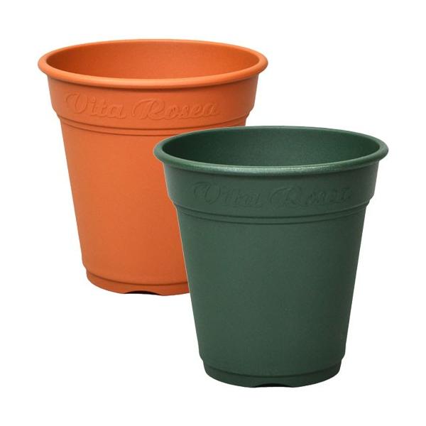 hanaikushop_ap-hachi-003