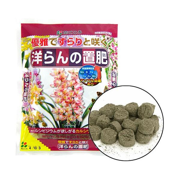 洋らんの置き肥 500ｇ Ha Hiryo 002 05 花育通販yahoo 店 通販 Yahoo ショッピング