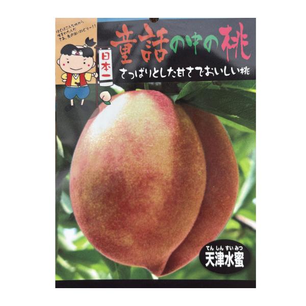 桃（モモ）苗木 天津水密（てんしんすいみつもも） : 植物・園芸専門店