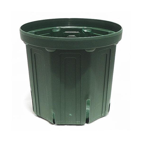 5号サイズのスリット鉢は、ハーブや花苗の仮植え、種まき等におすすめのサイズ。プロの生産農家も使うスリット鉢は、スリット穴の作用により、根のサークリングを大幅に軽減し、健全で丈夫な根を作ります。また、スリット作用で水はけが良くなり、根腐れを防...