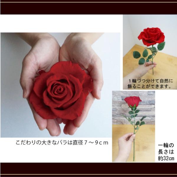 プロポーズ バラの花束 プリザーブドフラワー 伝説に因んだ１２本の大輪 ダーズンローズ 誕生日プレゼントや結婚式のサプライズに Buyee Buyee Japanese Proxy Service Buy From Japan Bot Online