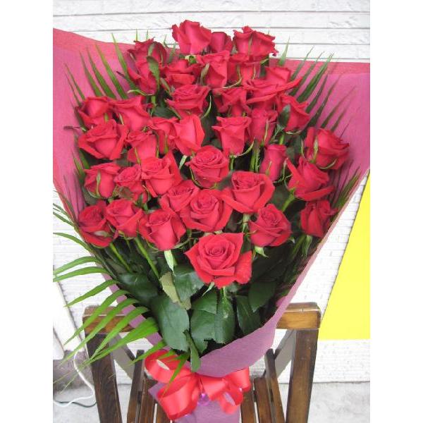 YiԃoRO{Ynv~A[Yo30{̉ԑaҗjj\yԂȂǑ