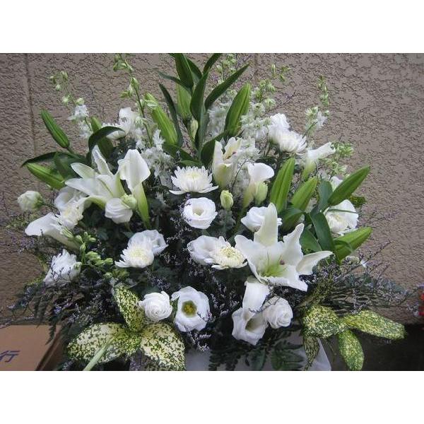 pAAWgE@vE@E䋟EԁEފ݁El\E~EV~