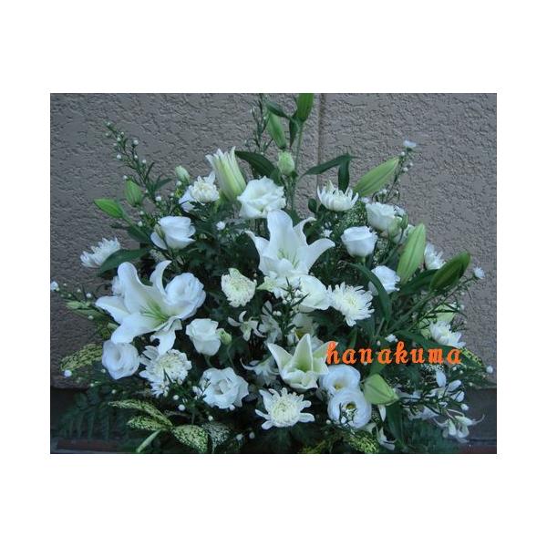 ԁEVE@EԁEl\EV~EEȂǍi͂I䋟EpAAWgE