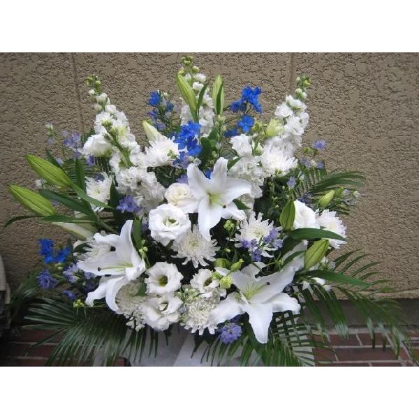 pAWg @䋟EVE@E@vEԁEl\EEOȂǂɃNCbN͂I䋟pAWgE