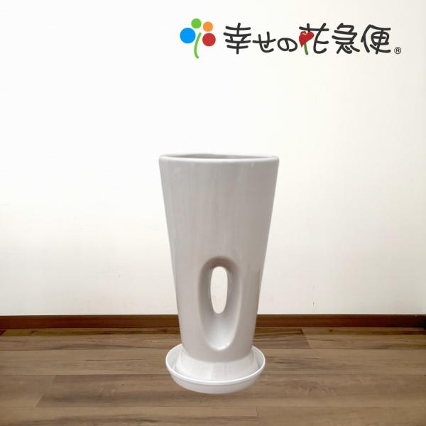 6号穴あき陶器鉢 鉢カバー 底穴なし 受皿なし 57 送料無料 観葉植物 植木鉢 植え替え Buyee Buyee Japanischer Proxy Service Kaufen Sie Aus Japan