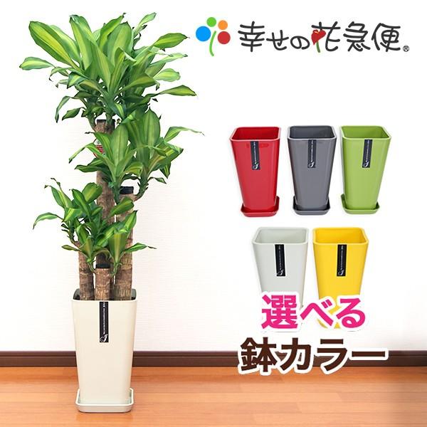 観葉植物　高さ120cm g162009]【高さ120cm】Nature 光触媒人工観葉植物 ベンジャミン 観葉