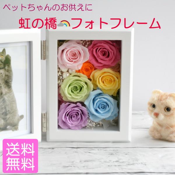 仏花 ミニ ペットの人気商品 通販 価格比較 価格 Com