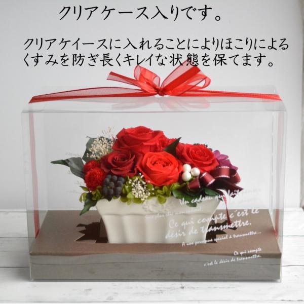 プリザーブドフラワー 母の日 21 花 誕生日 還暦 60才 カーネーション 赤バラ 赤系 枯れない花 花ギフト プレゼント クリアケース入り カップ咲赤バラプリ Buyee Buyee Japanese Proxy Service Buy From Japan Bot Online