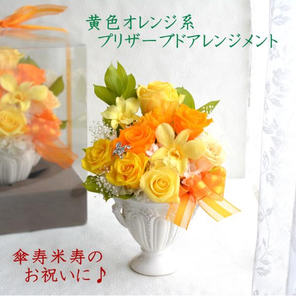 hanaland87_yellow006