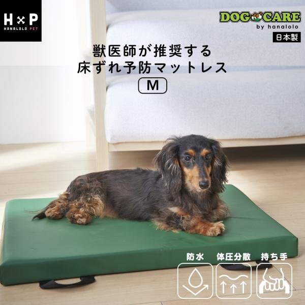 ハナロロ ドッグケア床ずれ防止防水マットレス Mサイズ ハナロロ 【ハナロロ公式】ドッグケア 防水マットレス(Mサイズ