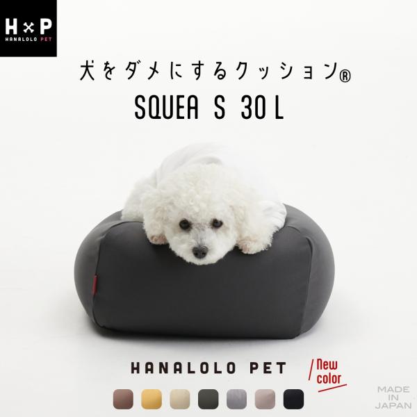 hanalolo_pet030en